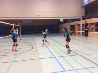 volley (19)